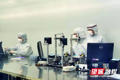 長沙加快經濟社會秩序恢復 咨詢服務業助力高質量發展